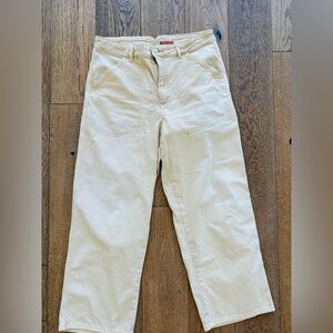 Pilcro by Anthropologie wide leg carpenter pants  30